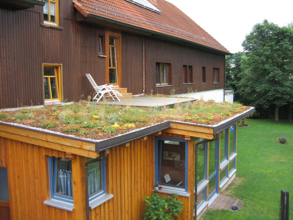 Dachbegrünung Sedum